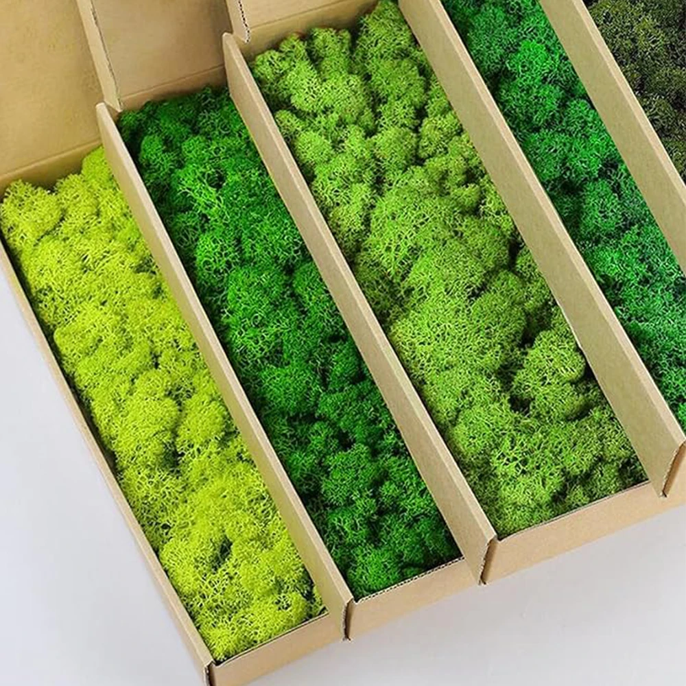 Sphagnum Moss Dry - 20-200g Sztuczne rośliny zielone Sztuczna trawa
