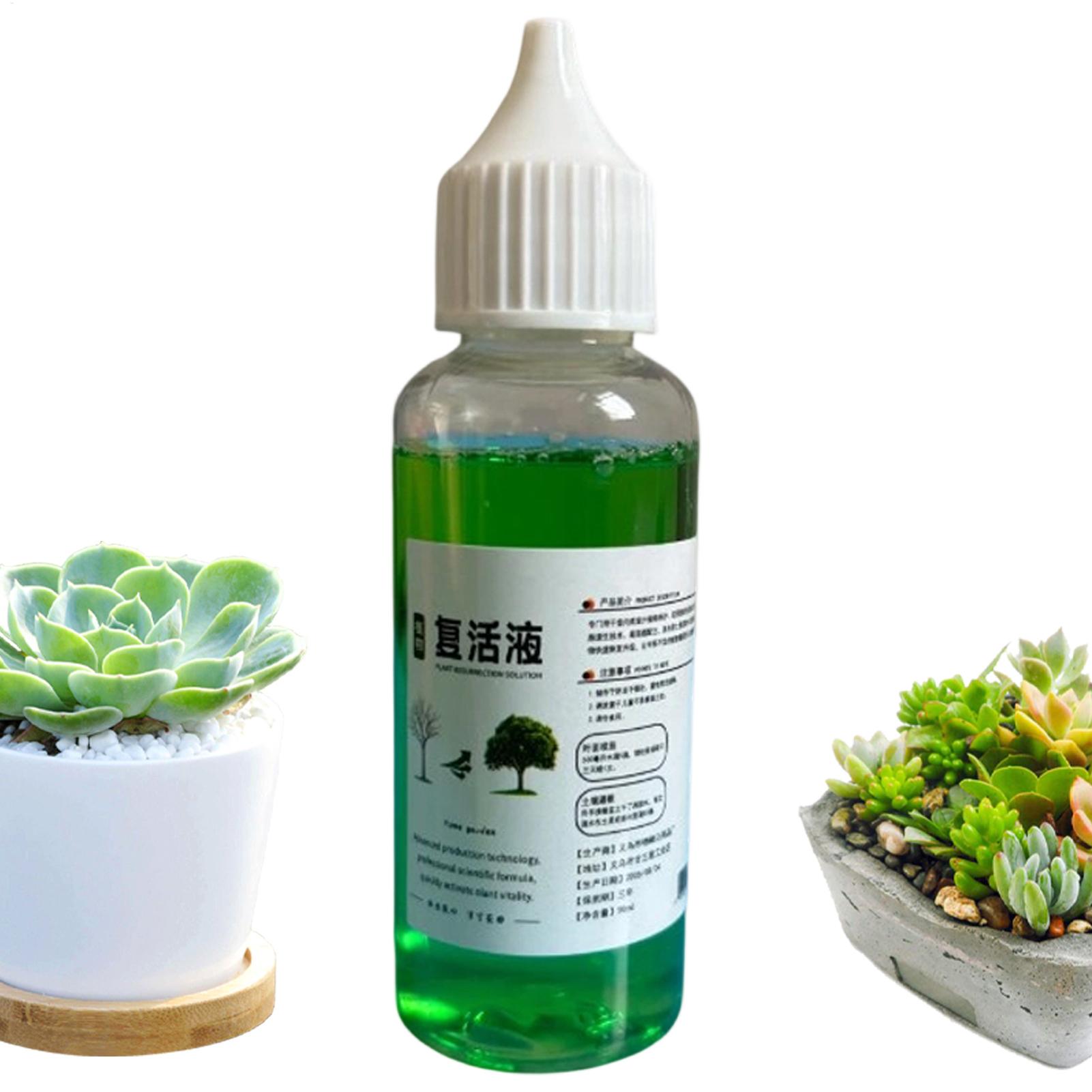 Root Stimulator Liquid - Stymulator wzrostu korzeni dla roślin, płynny