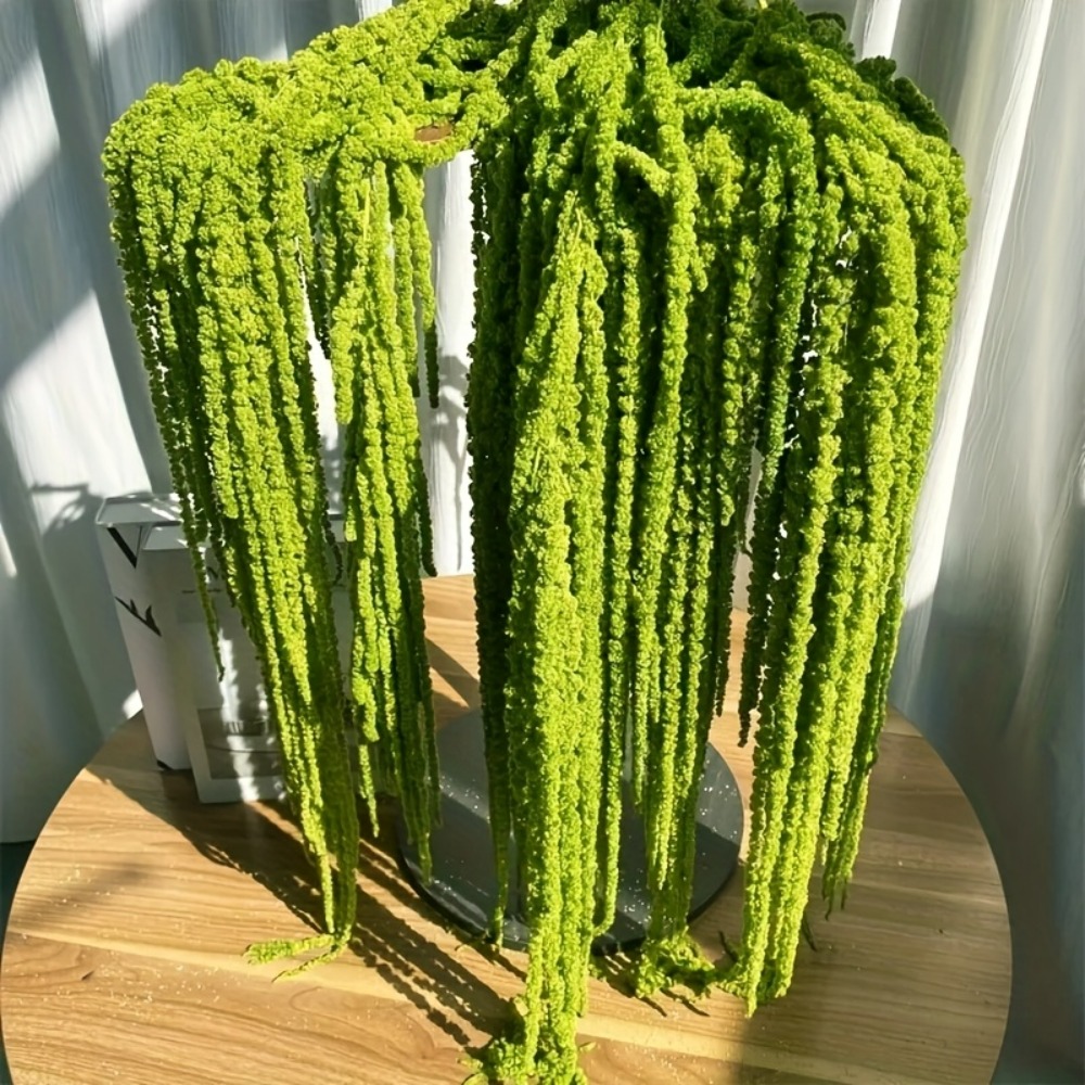 Zestaw 4 sztuk sztucznych kwia – Sphagnum Moss Dry recenzja i cena
