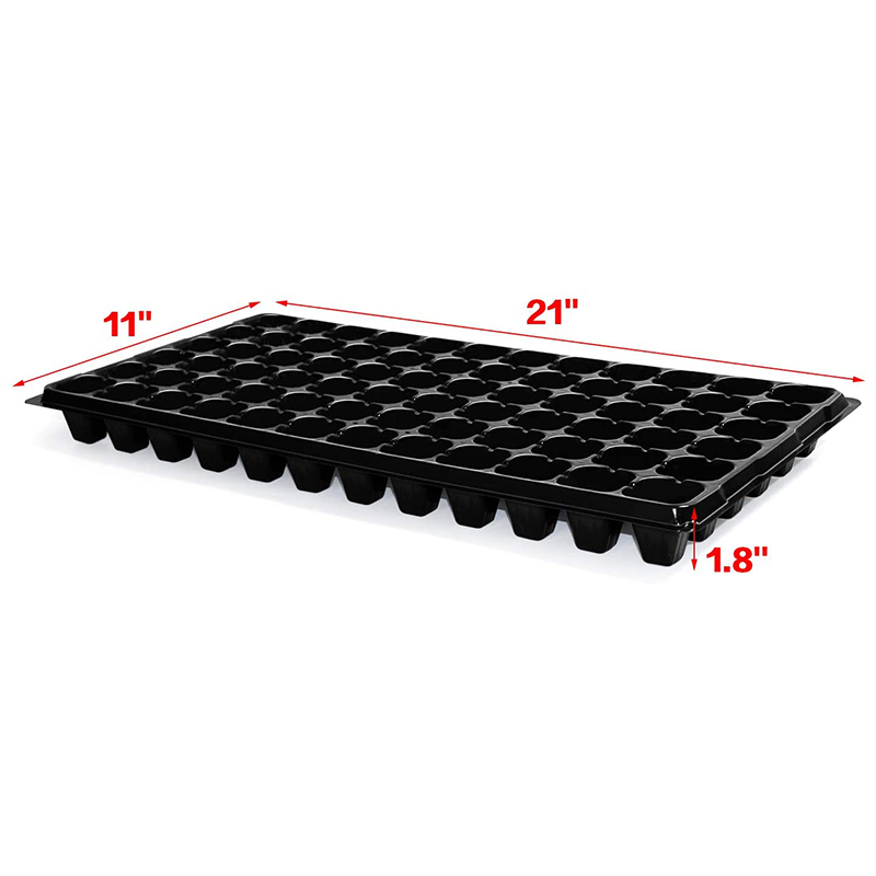 B84B-10 Zestaw do uprawy nasio – Propagation Tray 72 recenzja i cena