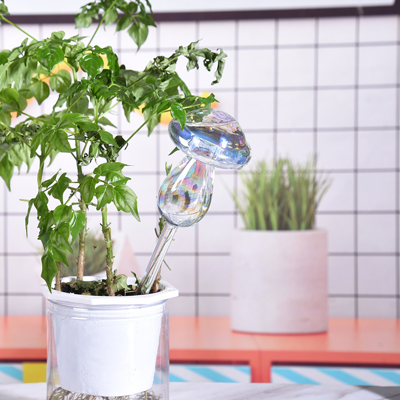 1/2PCS Szklana słomka Automaty – Self Watering Insert recenzja i cena