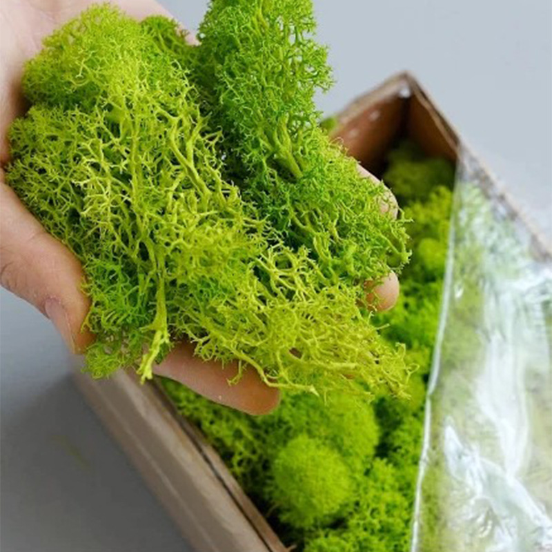 Sztuczne rośliny zielone wiecz – Sphagnum Moss Dry recenzja i cena