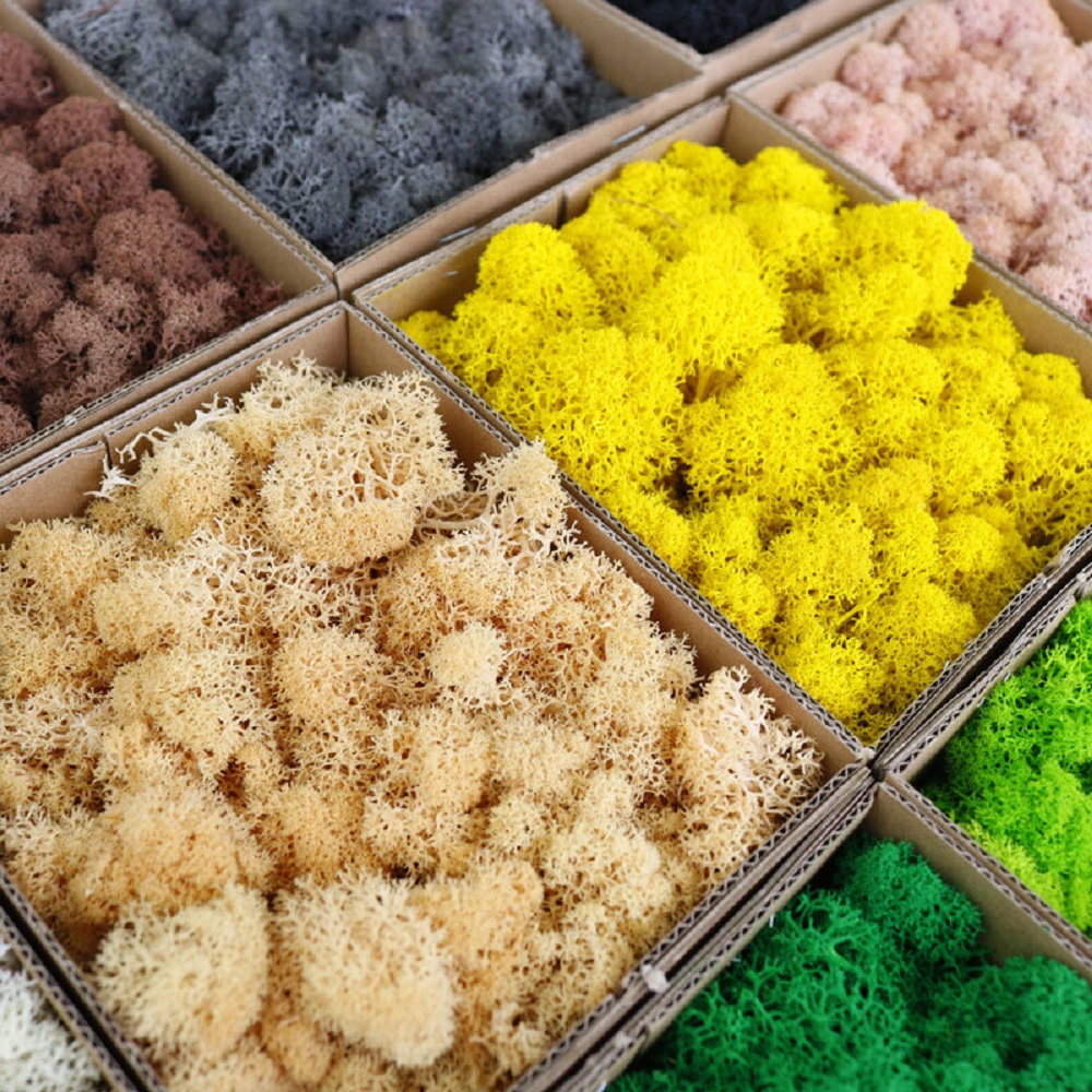 Sztuczne rośliny zielone wiecz – Sphagnum Moss Dry recenzja i cena