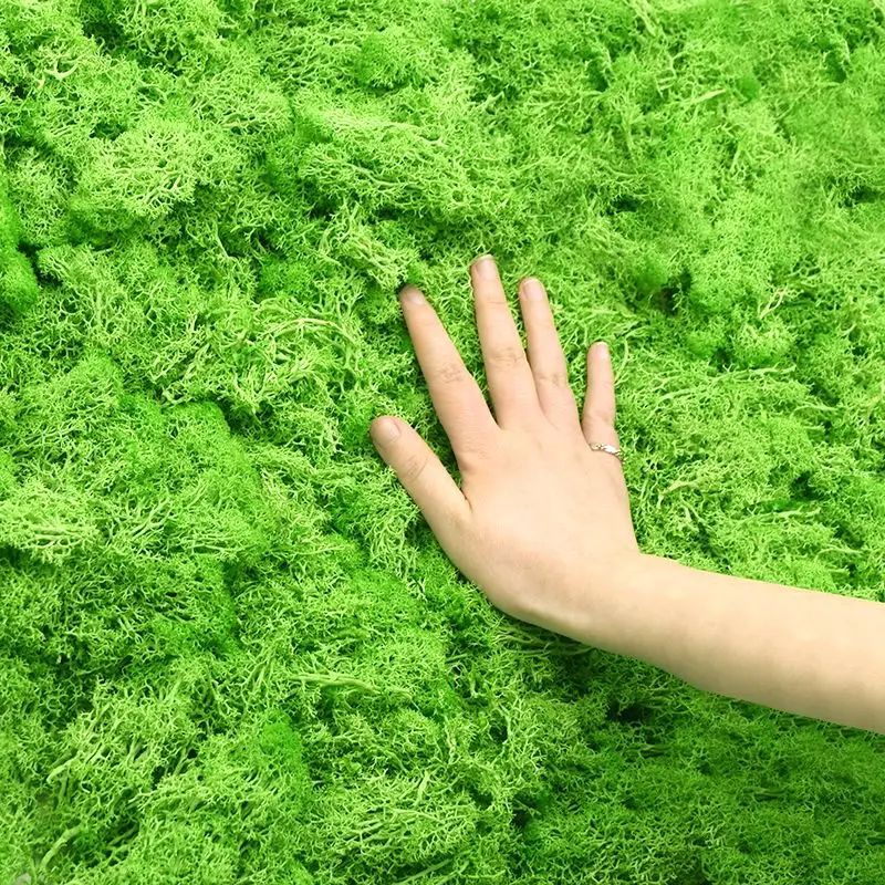 Sztuczne zielone rośliny, mech – Sphagnum Moss Dry recenzja i cena