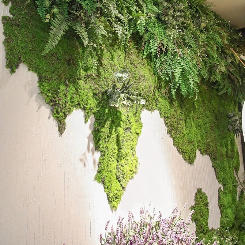 Sztuczne zielone rośliny, mech – Sphagnum Moss Dry recenzja i cena